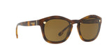 527673 - Havana - Brown