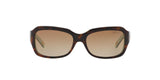 601/T5 - Havana - Polar Brown Gradient