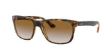 710/51 - Havana - Crystal Brown Gradient