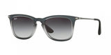 Ray Ban 4221 Sunglasses