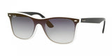 Ray Ban Blaze Wayfarer 4440NF Sunglasses