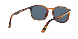 108256 - Tortoise Brown - Light Blue + Ar