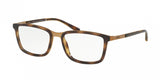 Polo 1167 Eyeglasses