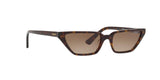 W65613 - Dark Havana - Brown Gradient