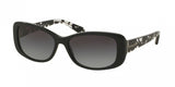 Coach 8168F Sunglasses