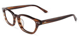 Converse P015PUR48 Eyeglasses