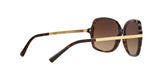 310613 - Dk Tortoise/gold