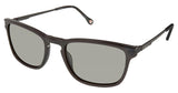 Champion CU6045 Sunglasses