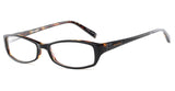 Converse BTOPBLA52 Eyeglasses