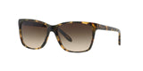 905/13 - Brown - Brown Gradient