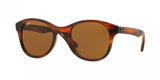 Ray Ban 4203 Sunglasses