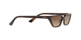 W65613 - Dark Havana - Brown Gradient