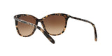 146213 - Brown - Dark Brown Gradient