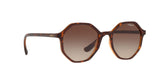 238613 - Brown Gradient
