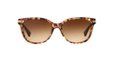 528713 - Light Brown - Brown Gradient