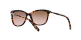 146114 - Pink - Brown Rose Gradient