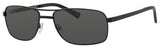 Banana Republic Benisio Sunglasses