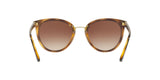 W65613 - Brown Gradient