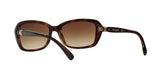 W65613 - Havana - Brown Gradient