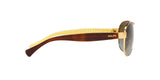 106/T5 - Gold - Brown Gradient Polarized