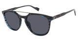 Ben Sherman BSQUEENSWAY Sunglasses