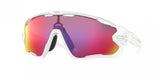 Oakley Jawbreaker 9290 Sunglasses