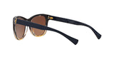 1444T5 - Brown - Brown Gradient Polarized