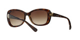 W65613 - Havana - Brown Gradient