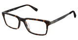 Sperry SPPOPHAM Eyeglasses
