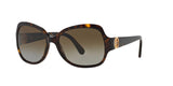 1378T5 - Havana - Brown Gradient Polarized