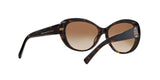 510/8 - Havana - Brown Gradient