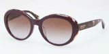 Coach 8077F Sunglasses