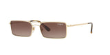 848/13 - Brown Gradient