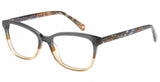 Exces 3158 Eyeglasses