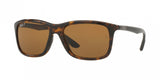 Ray Ban 8352F Sunglasses