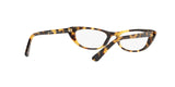2605 - Brown Yellow Tortoise