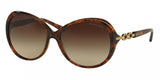 Michael Kors Andorra 2008B Sunglasses