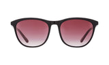 038357 - Black - Happy Merlot Fade