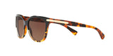 5438T5 - Havana - Brown Gradient Polar