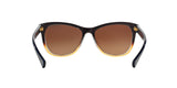 1444T5 - Brown - Brown Gradient Polarized