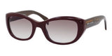 Tommy Hilfiger 1088 Sunglasses