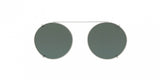 Polo 1169C Sunglasses