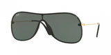 Ray Ban 4311N Sunglasses