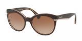Ralph 5238 Sunglasses