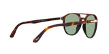 905552 - Tortoise Brown Black - Green
