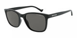 Emporio Armani 4139F Sunglasses