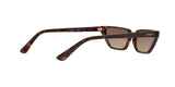 W65613 - Dark Havana - Brown Gradient