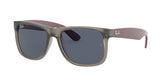 Ray Ban Justin 4165F Sunglasses