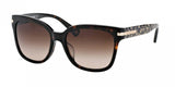 Coach L544 Alfie 8103F Sunglasses