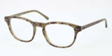 Polo 2107 Eyeglasses